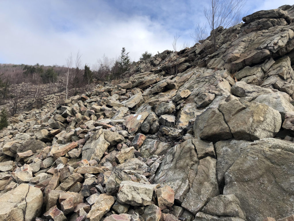 trail continues up scree field